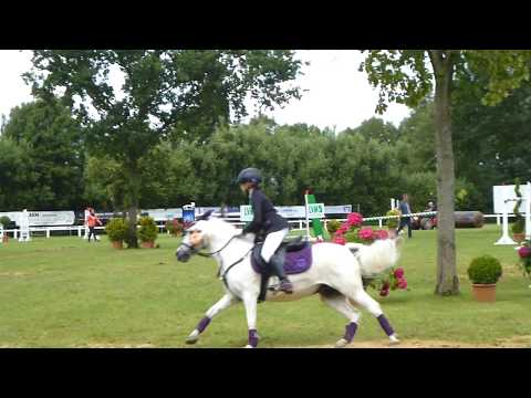 Ehrenrunde 31. Stilspring-Wettbewerb LK 0 Westküstenturnier 2017