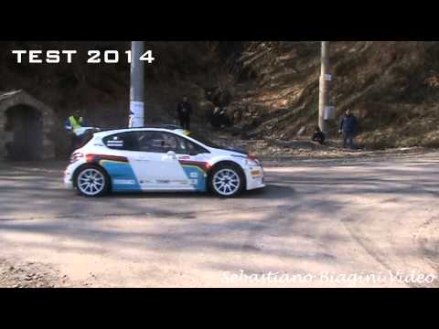 Test Pre-Ciocco 2014 - Paolo Andreucci - Peugeot 208 R5 - Day 2