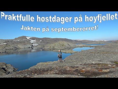 Praktfulle høstdager på høyfjelllet! Jakten på septemberørret