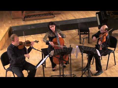 Reger, String Trio 2, op. 141b, mvt. 1 - Ռեգեր, Լարային տրիո 2. 1/2