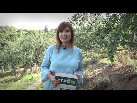 Agro karavan ep.133 - Prokuplje - 19.07.2020.