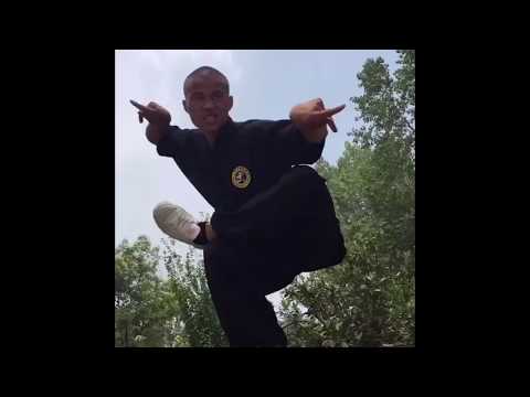 Kung Fu preview: Mantis Form (螳螂拳 Tángláng quán)