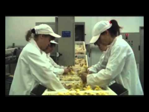 The Amplifetes   it can´t rain all the time