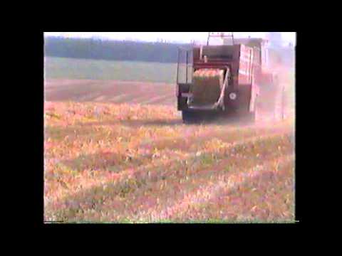 Loonw. Decrock - Watou