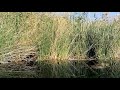 channel