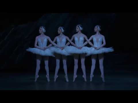 Biagi Swan Lake Pura Clase