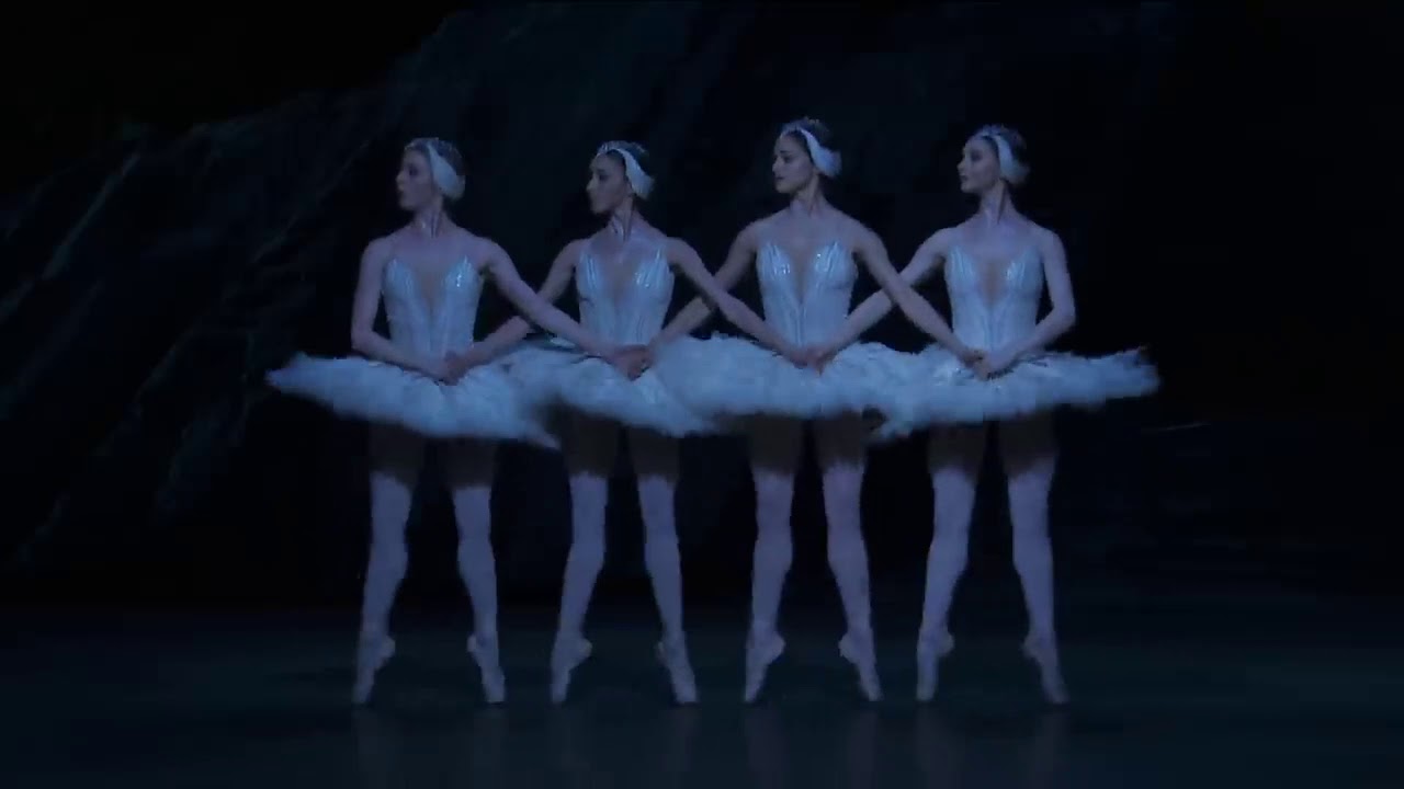 Biagi Swan Lake Pura Clase
