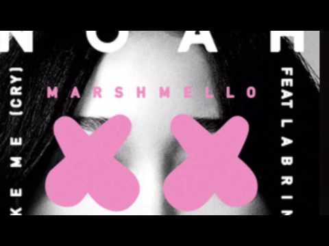 Noah Cyrus and Marshmello- "Make me (Cry)" REMIX