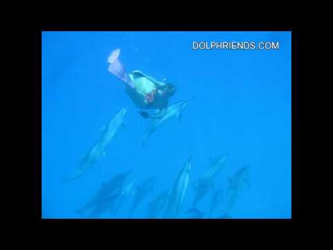 Devaka Dancing with Dolphins