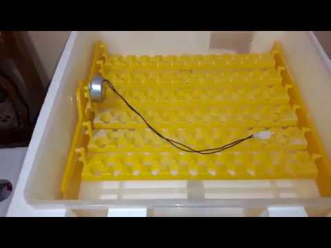 Incubator  BK48 55 und Baugleich