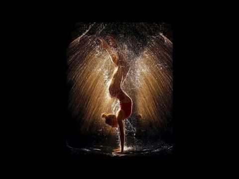 The Swan - Christophe Goze