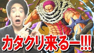 【トレクル】新フェス限カタクリ来るぞー！
