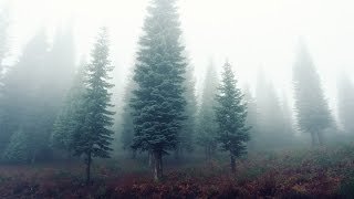 [Background] Magic Marker  | No Copyright Music + Free Download