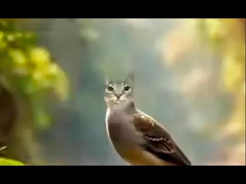 pretty annoying VERIFIED