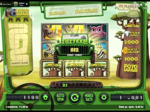 Safari - en spilleautomat med vilde dyr og gevinster