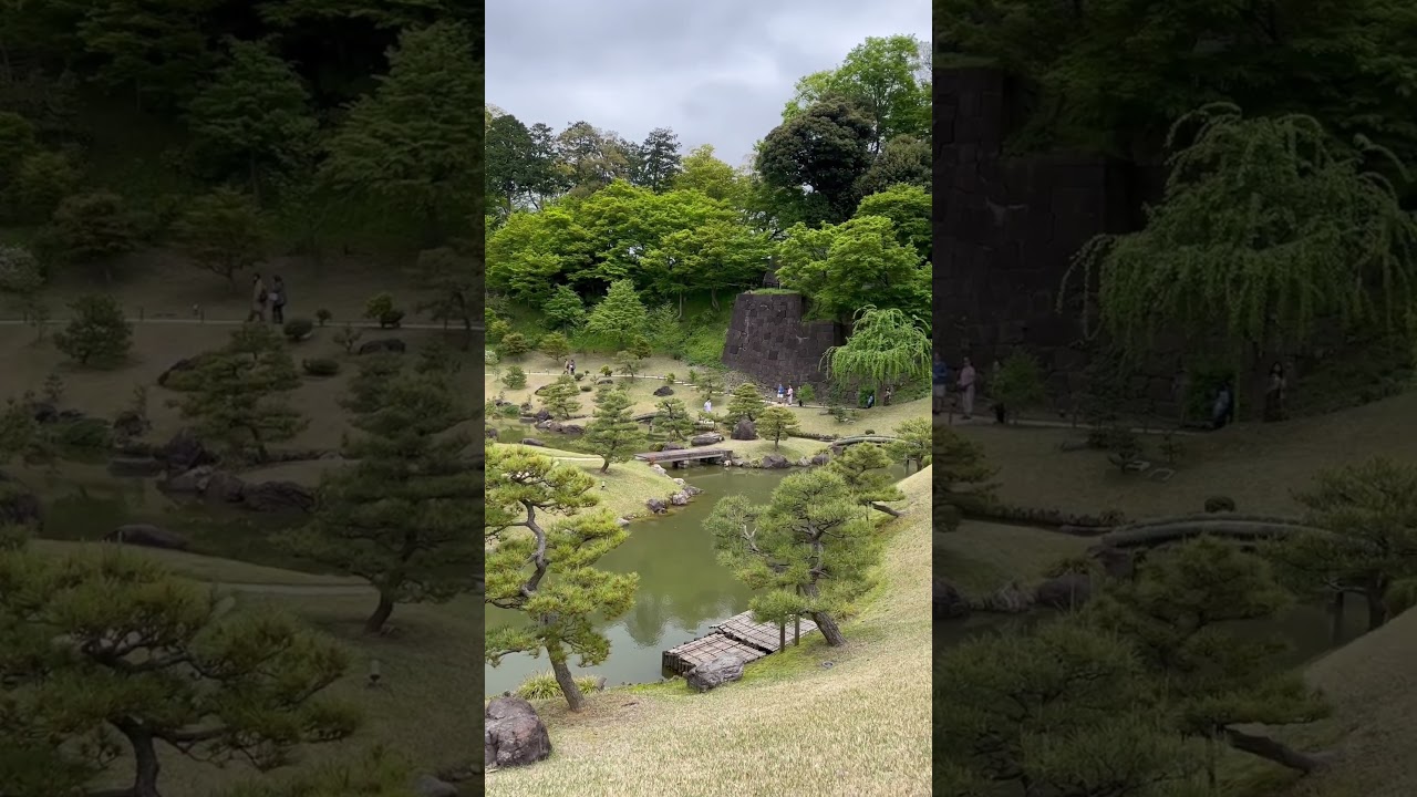 YouTube Short thumbnail