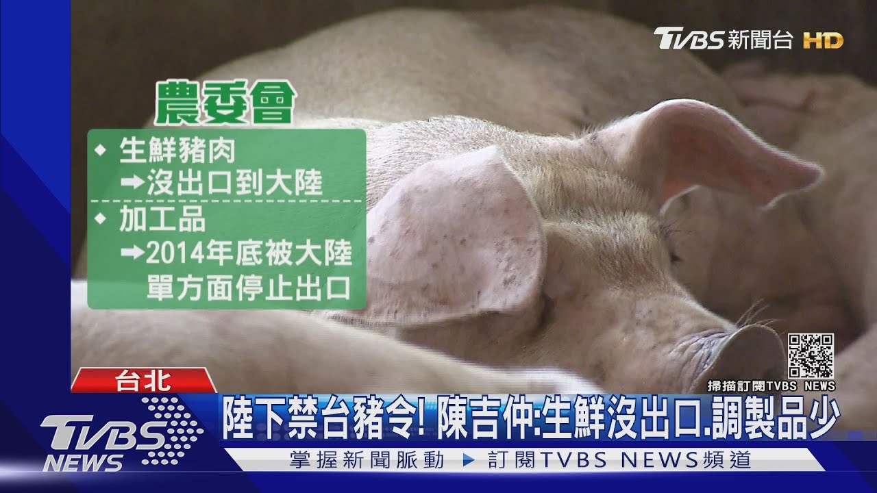 台豬外銷「陸港澳」近9成 業者憂:斷貿易線