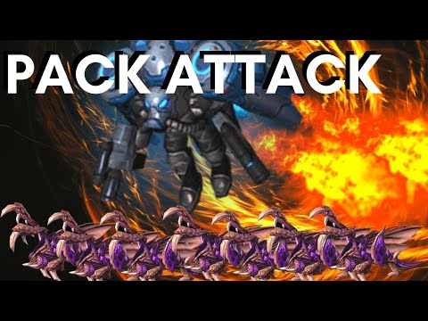 CROOKED SAM + ZAGARA IS INSANE - Weekly Brawl [Starcraft 2 Direct Strike]