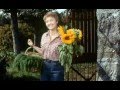 Das Spukschloß Im Spessart The Haunted Castle 1960 Sample