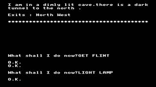 Fire Island (longplay) for the BBC Micro