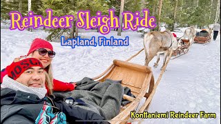 Experience a Reindeer Sleigh Ride and learn about Reindeer in Lapland, Finland 🇫🇮