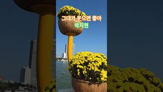 #그대가웃으면좋아 #박지현 #쇼츠음악 #긍정스텝 #다낭  #shorts #힐링음악