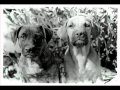 HVOB - Dogs (Oliver Koletzki Remix) 