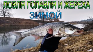 Ссылка