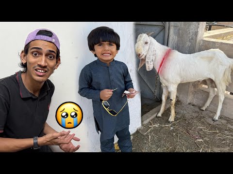 My Pet Last Day With Me 🥹| Pumpi Ke Janwar Ki Qurbani Hogayi 🥰|