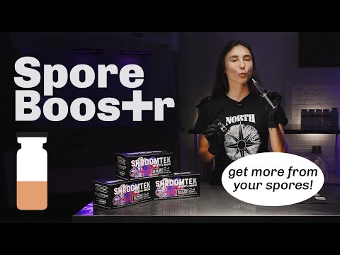 How to use Spore Boostr with Shroomtek | The NEWEST Mushroom Growing Hack | QUICK GUIDE