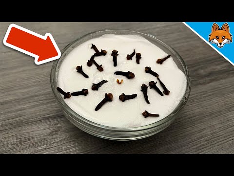 JEDER fragt mich, warum es bei mir SO GUT riecht 💥 (DAS ist mein GEHEIMNIS) 🤯