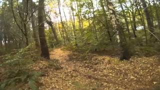 preview picture of video 'Spanky Mini Quadcopter FPV Delamere Forest'