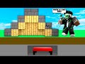 I Secretly CHEATED Using A FAKE Bed Defense Roblox Bedwars