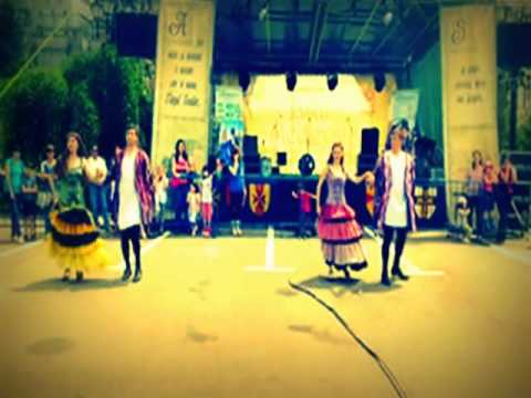 2. IASUL MEDIEVAL - Ansamblul Coconite si Ordinul Paladinii de Terra Medies