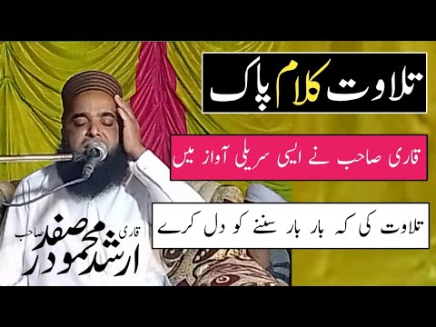 Tilawat Quran by Qari Arshad Mehmood Safdar |Sout ul muslim| [ Bazm e Fezan e Naat ]