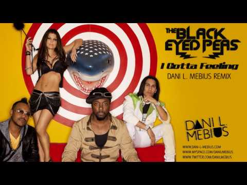Black Eyed Peas - I Gotta Feeling (Dani L. Mebius Remix)