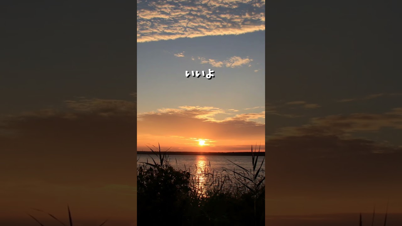 優しい人は突然いなくなる