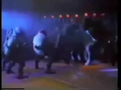 Teenage Mutant Ninja Turtles II - The Secret of the Ooze (1991) - Trailer