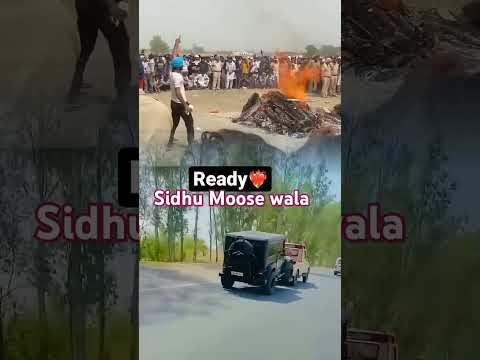 #sidhumoosewala 🙏🥺#shorts #justiceforsidhumoosewala #295