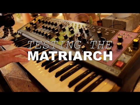 MOOG MATRIARCH - my first hands on experience