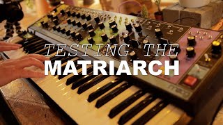Video thumbnail for MOOG MATRIARCH - my first hands on experience by BoBeats