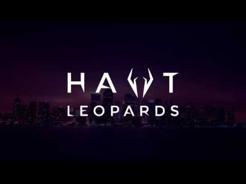 Hawt Leopards - Flying High (OUT NOW)