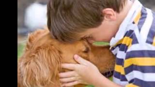 Tim McGraw - My Old Friend