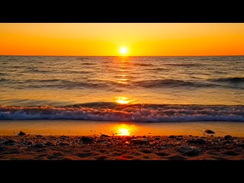 Ocean Waves with Gentle Wind | Deep Sleep Sounds | No Music | 8 Hours