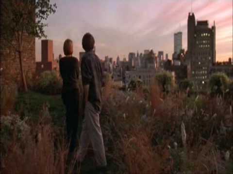 Bed Of Roses fan video - Independent love song