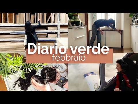 I said yes and changed my perspective ✈️🌿 Green Diary | February