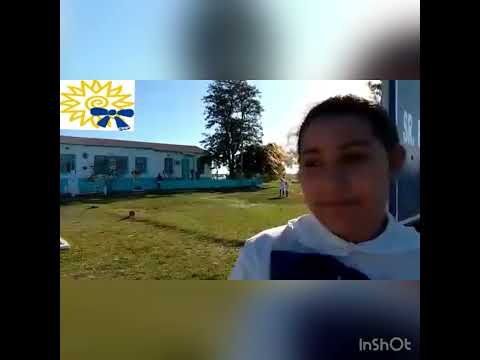 Nos presentamos sauce de Batoví