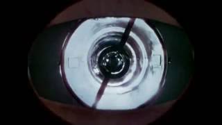 Tigermoth (Music Video)