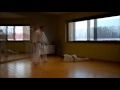 Bassai Dai Bunkai