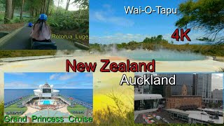 Auckland | Rotorua | Grand Princess Cruise ship tour| New Zealand(4k)
